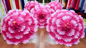 Cho thuê Ô múa hoa thược dược tại Hà Nội